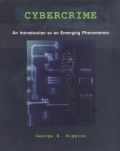 Cybercrime: An introduction to An Emerging Phenomenon
