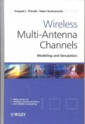 Wireless multi-antenna chanels: modeling and simulation