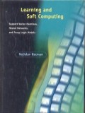 Learning and Soft Computing : support vector machines, neural networks, and fuzzy logic models