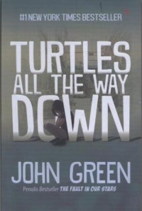 Image of Turtles All The Way Down