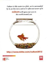 Image of Culture: What makes culture special