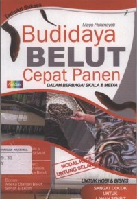 Budidaya Belut Cepat Panen