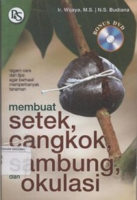 Membuat Setek Cangkok, Sambung dan Okulasi